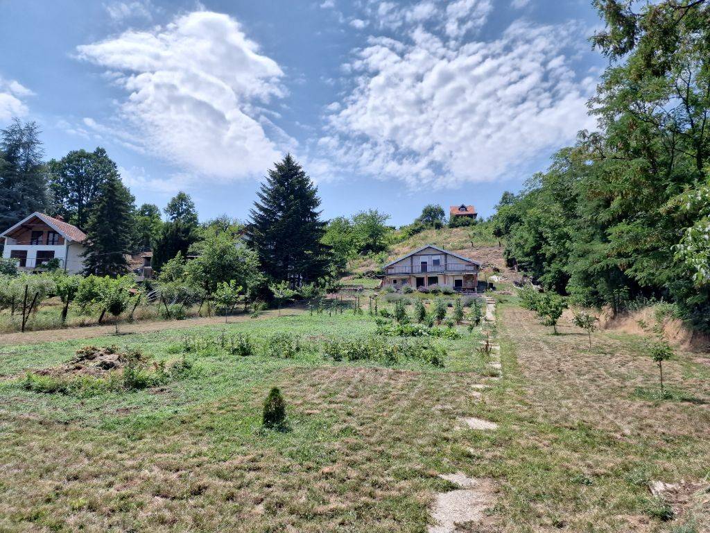 Foto 19