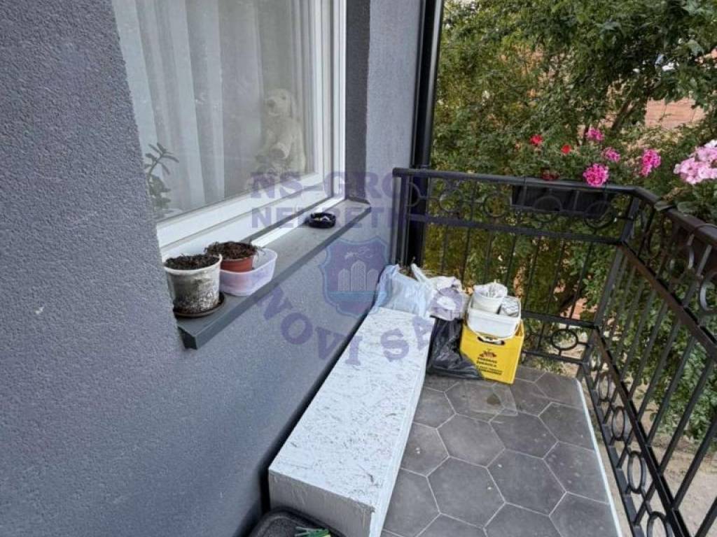 Foto 5