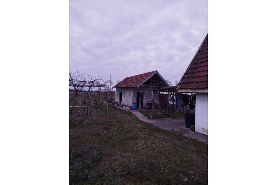 Foto 15