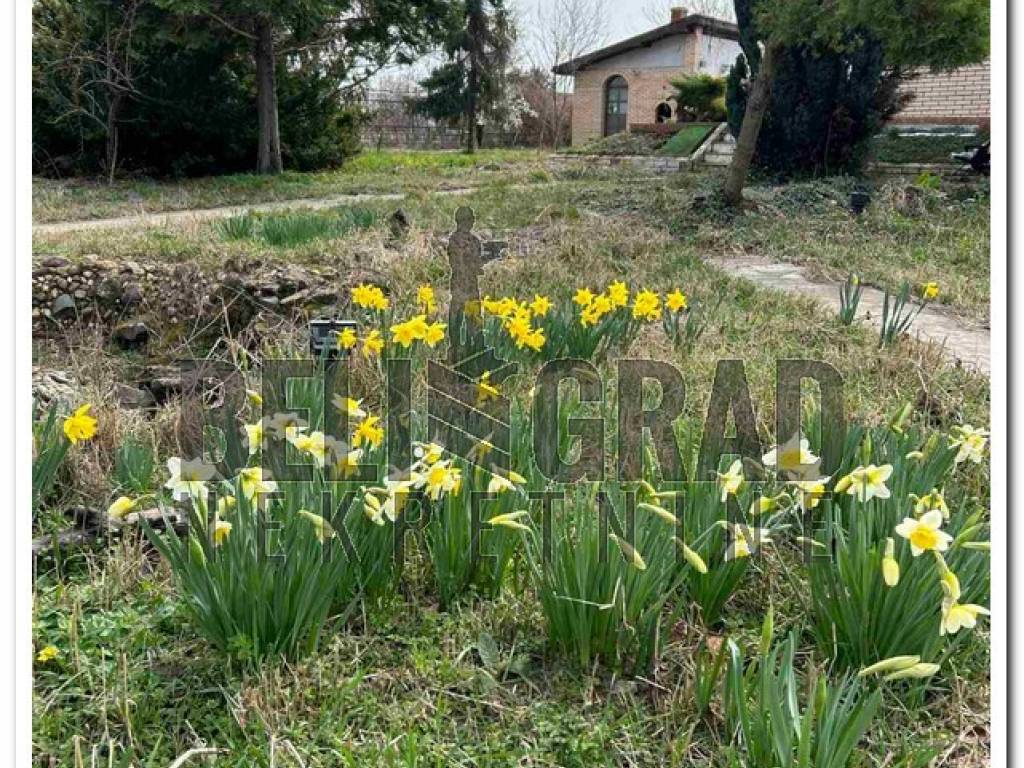 Foto 20