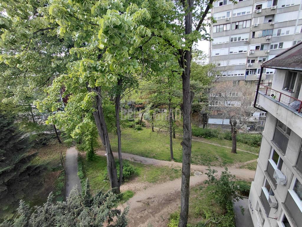 Foto 19