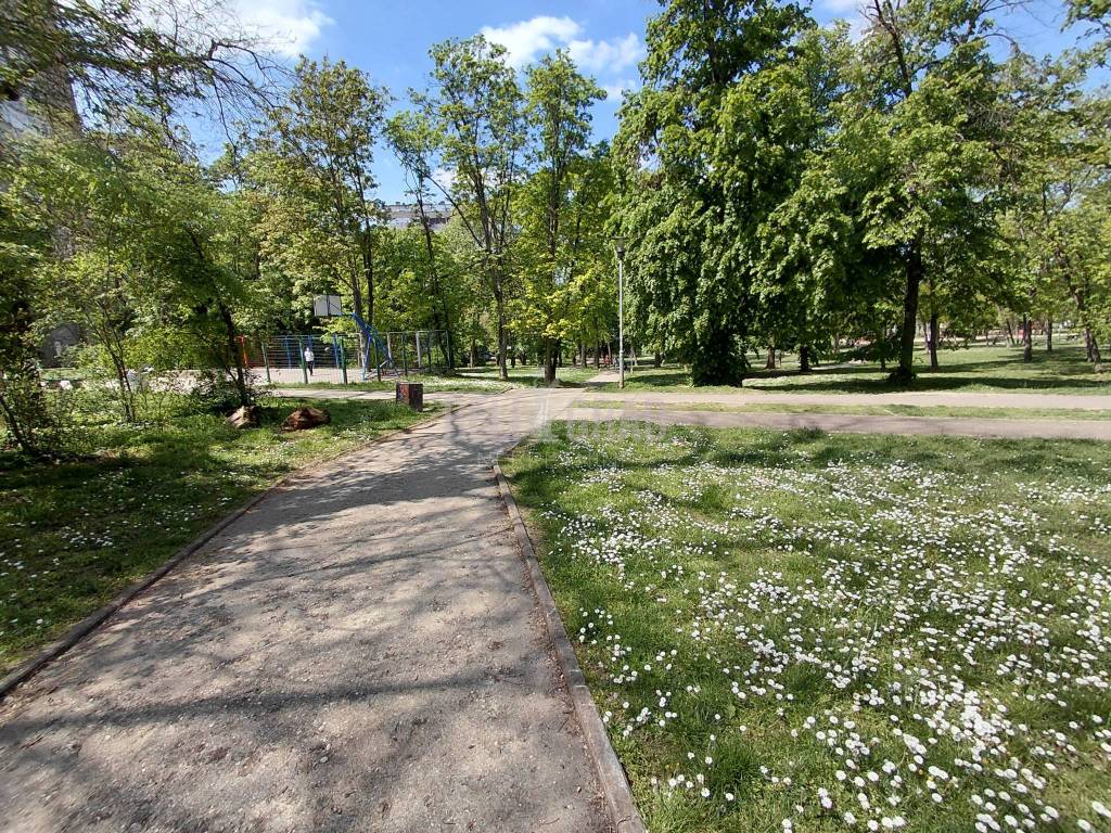 Foto 20