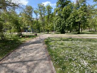Foto 20
