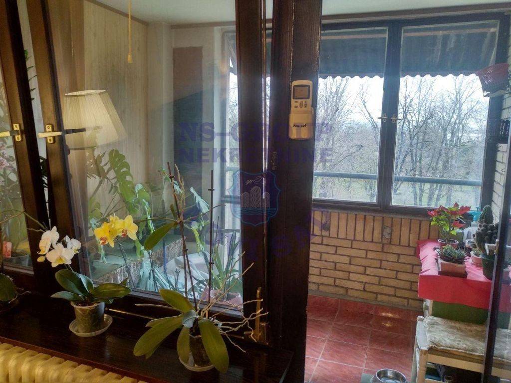 Foto 11