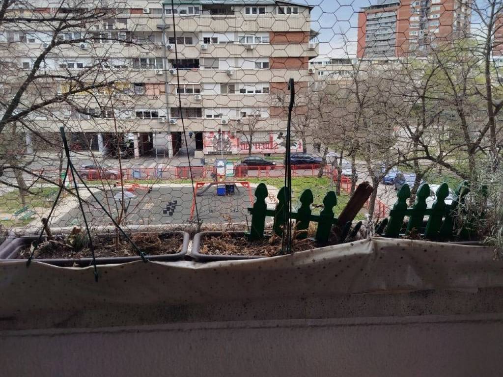 Foto 11