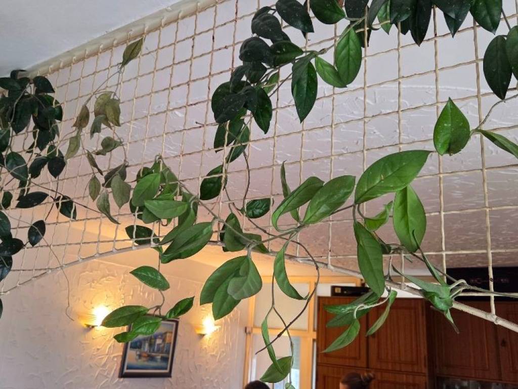 Foto 16