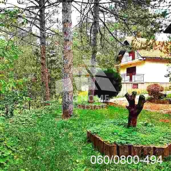 Foto 14