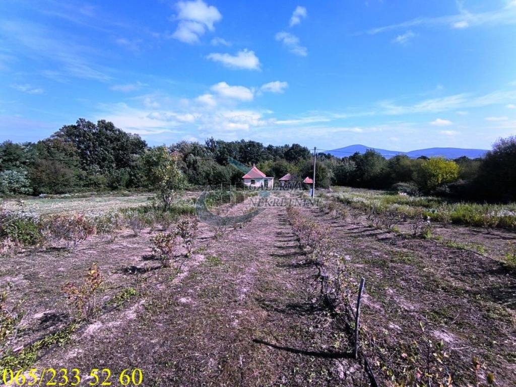 Foto 12