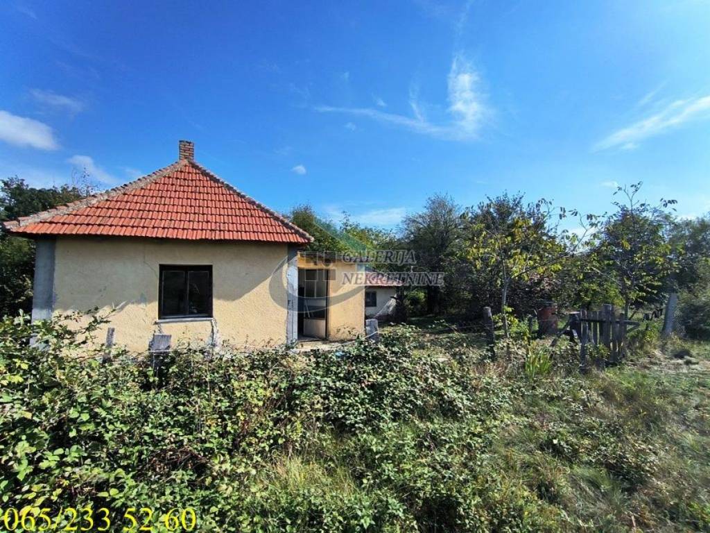 Foto 14