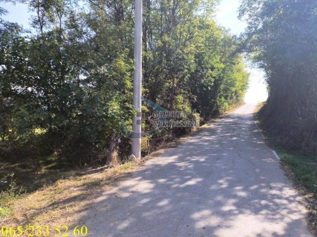 Foto 15