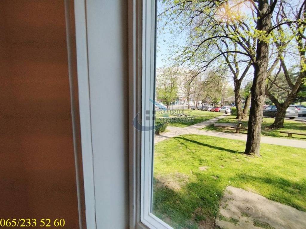 Foto 15