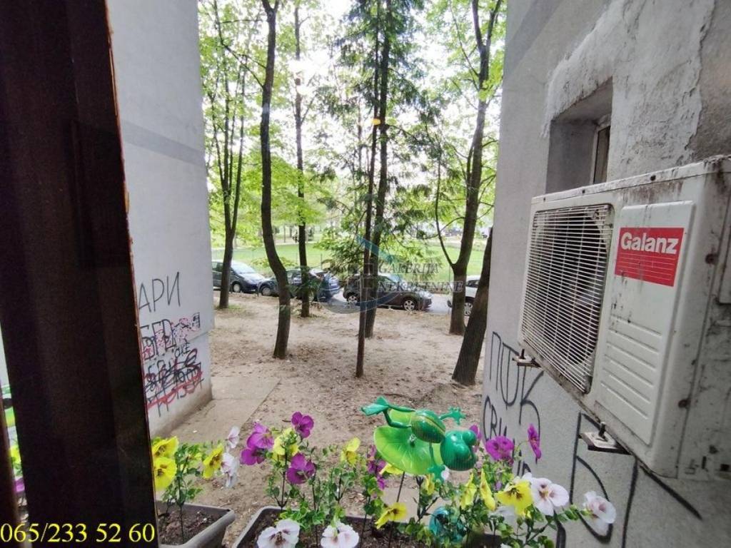 Foto 17