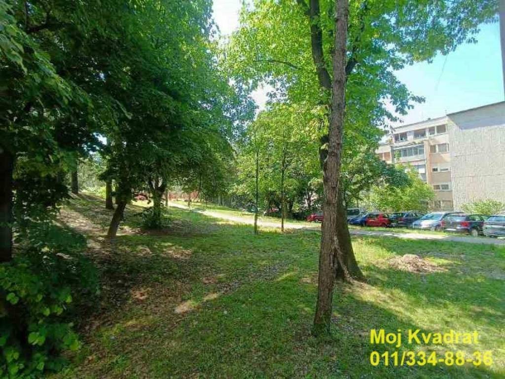Foto 9