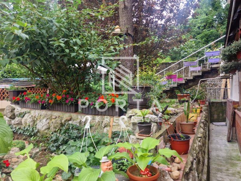 Foto 20