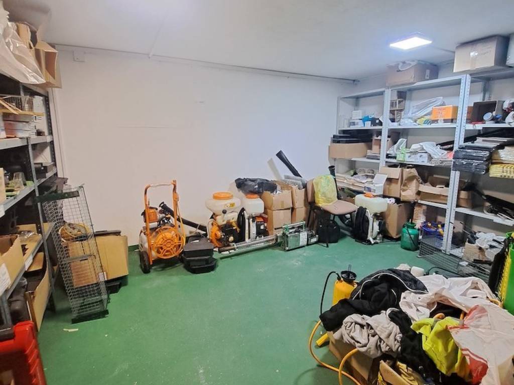 Foto 10