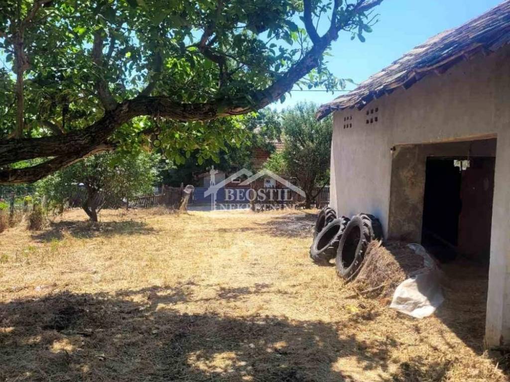 Foto 15