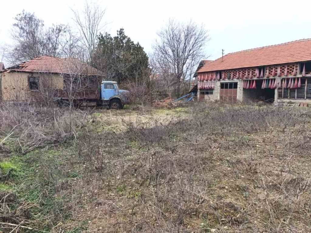 Foto 3