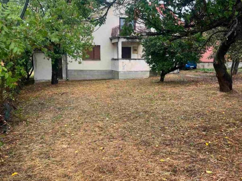 Foto 11