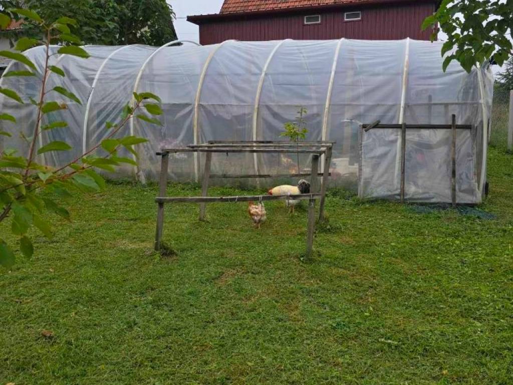 Foto 11