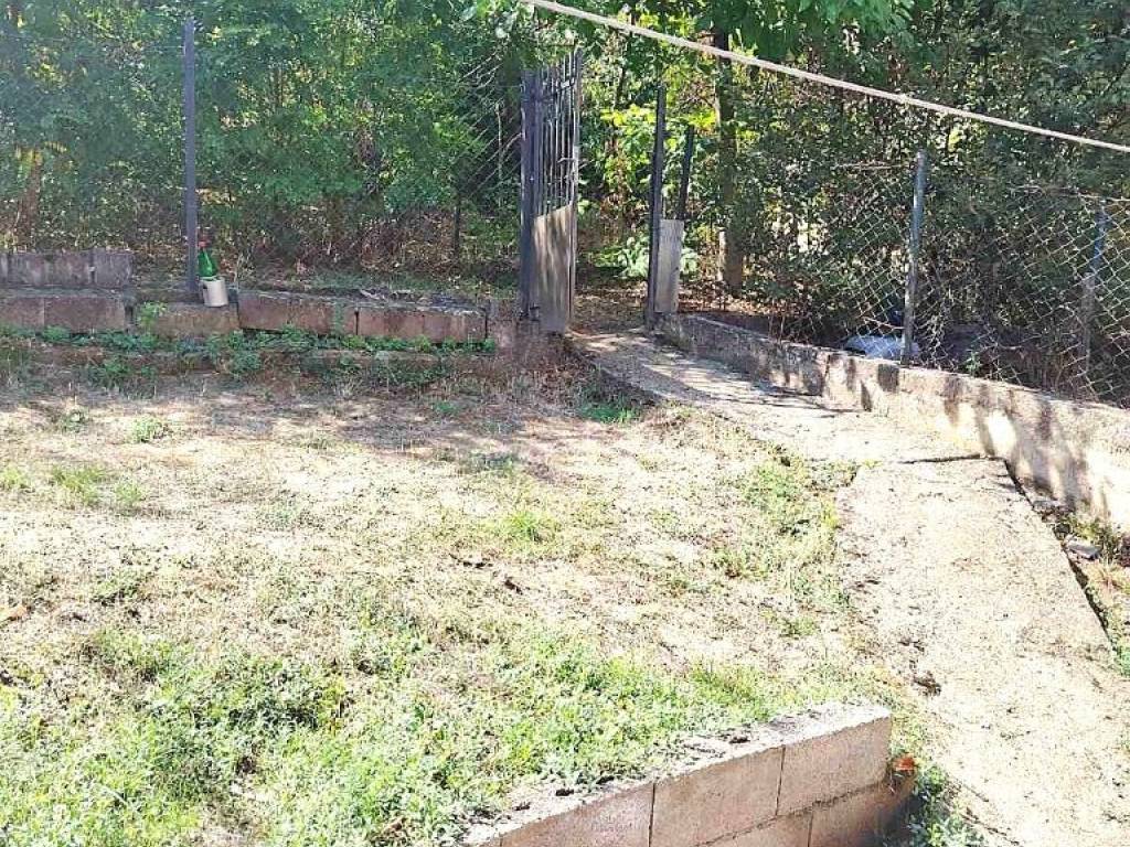Foto 11