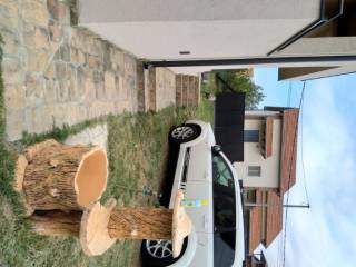 Foto 8