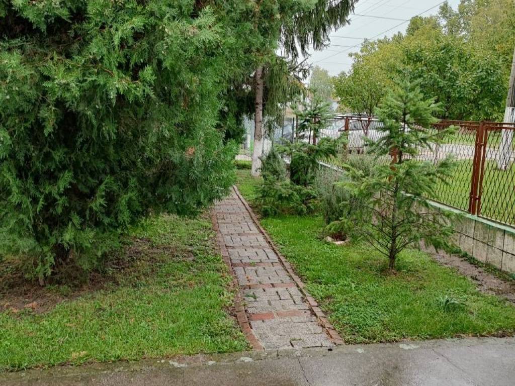 Foto 21