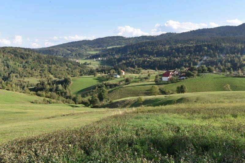 Foto 20