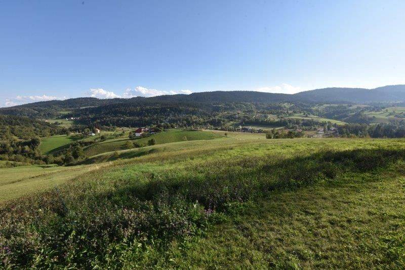 Foto 21
