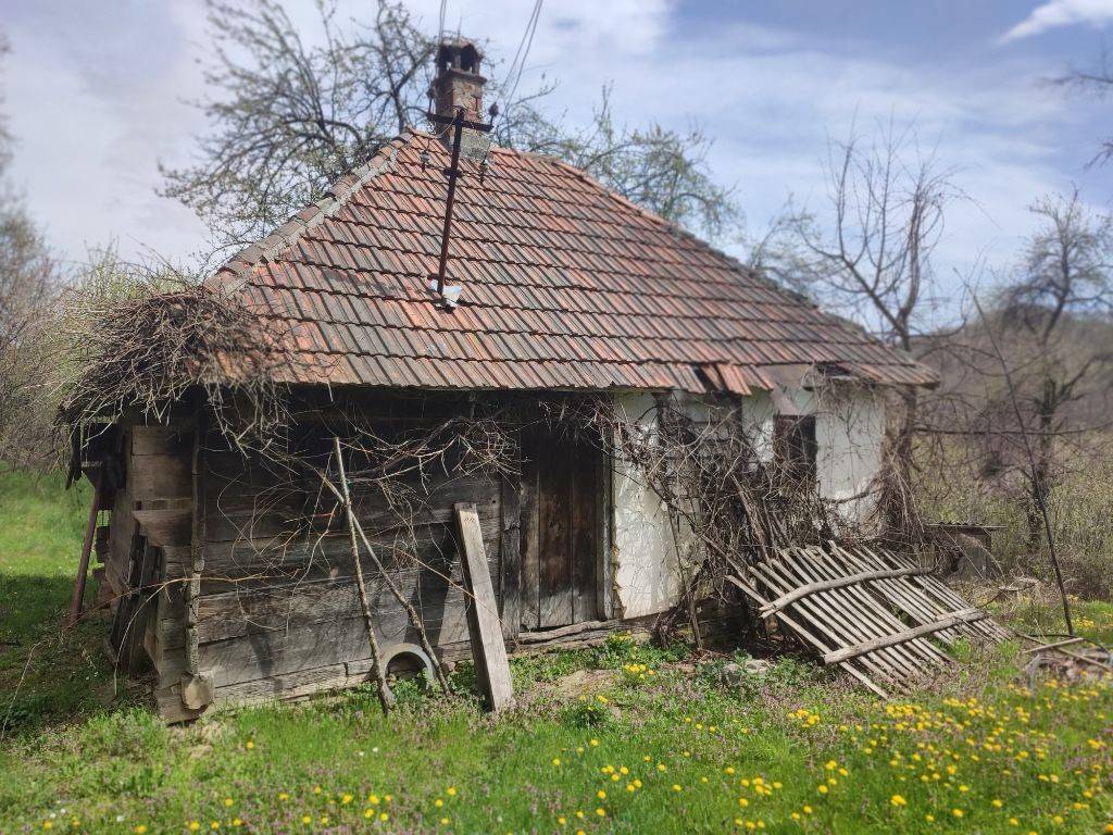 Foto 13