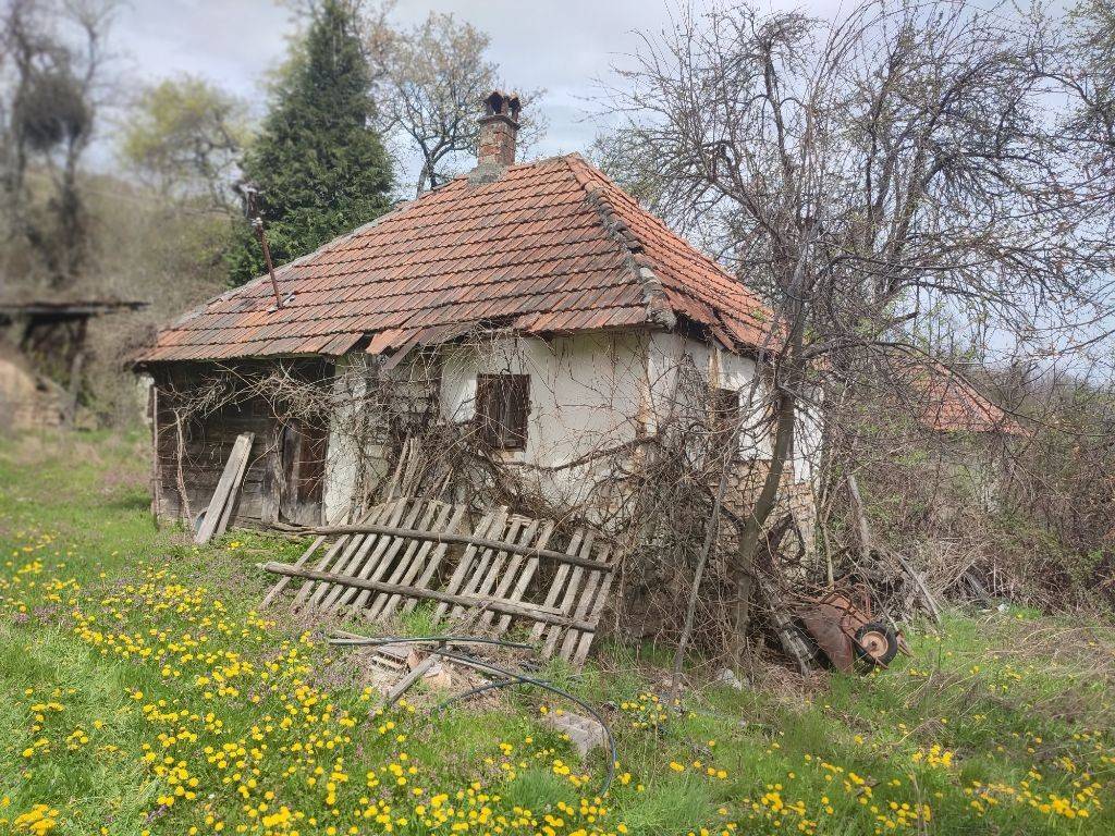 Foto 14