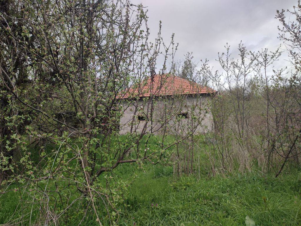 Foto 20