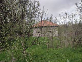 Foto 20