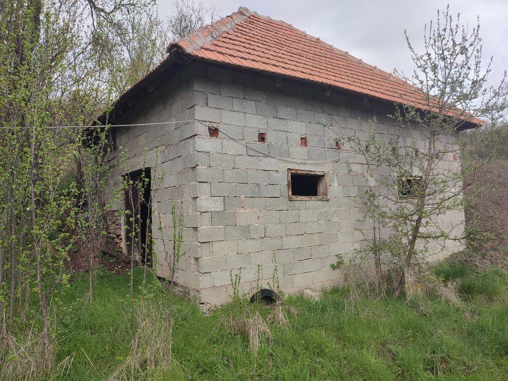 Foto 21