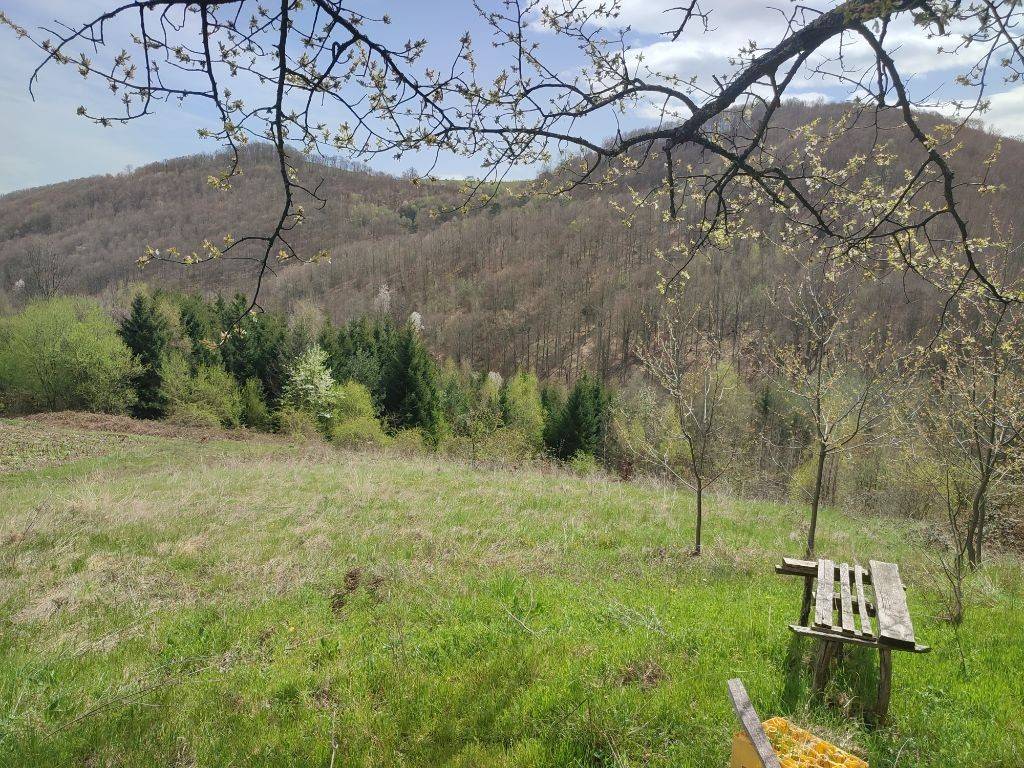 Foto 23