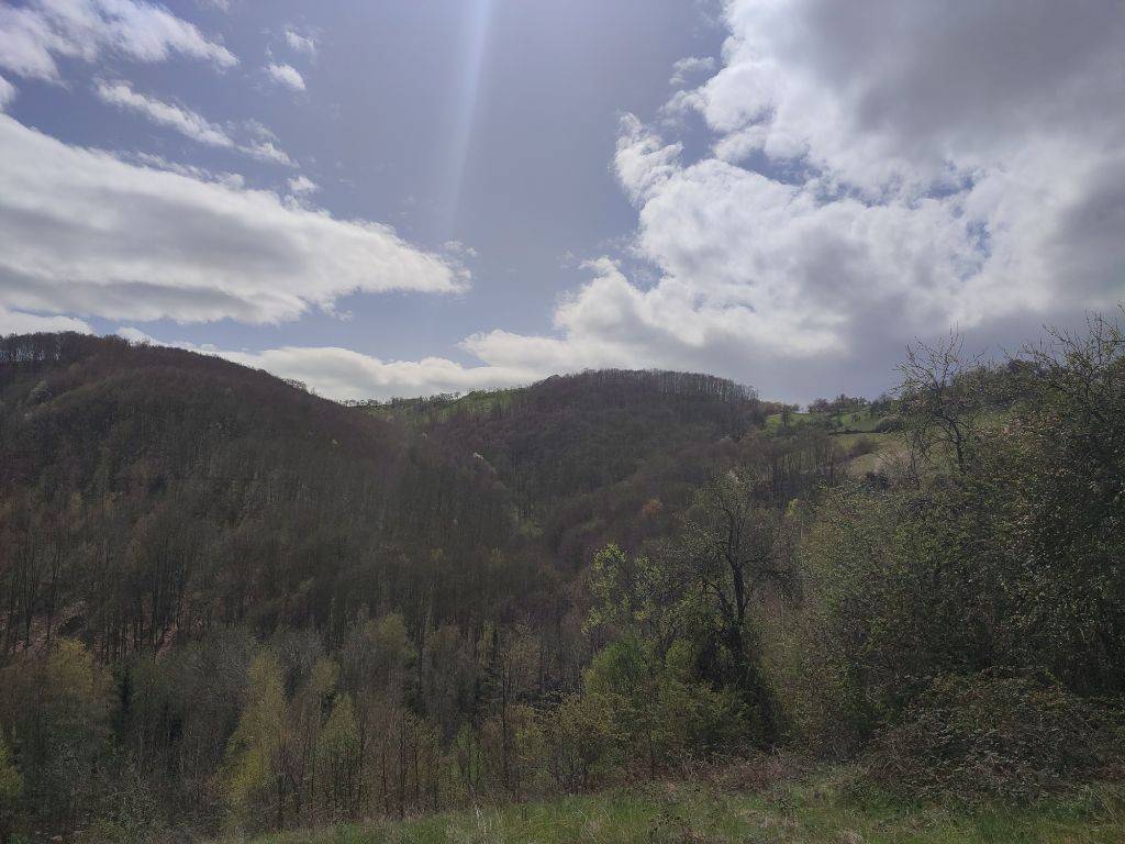 Foto 28