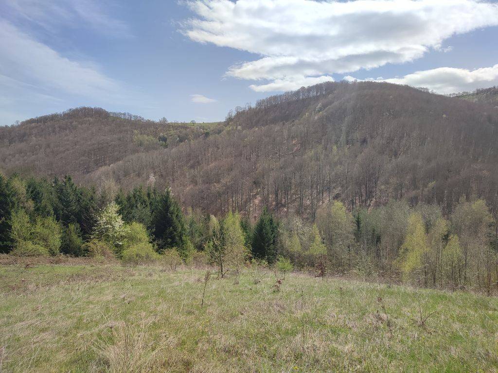Foto 29