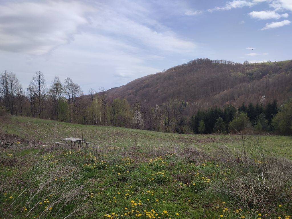 Foto 33