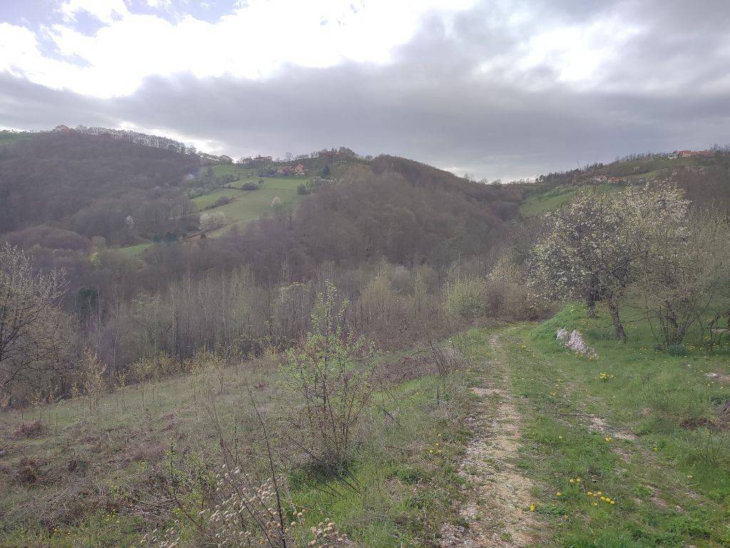 Foto 35
