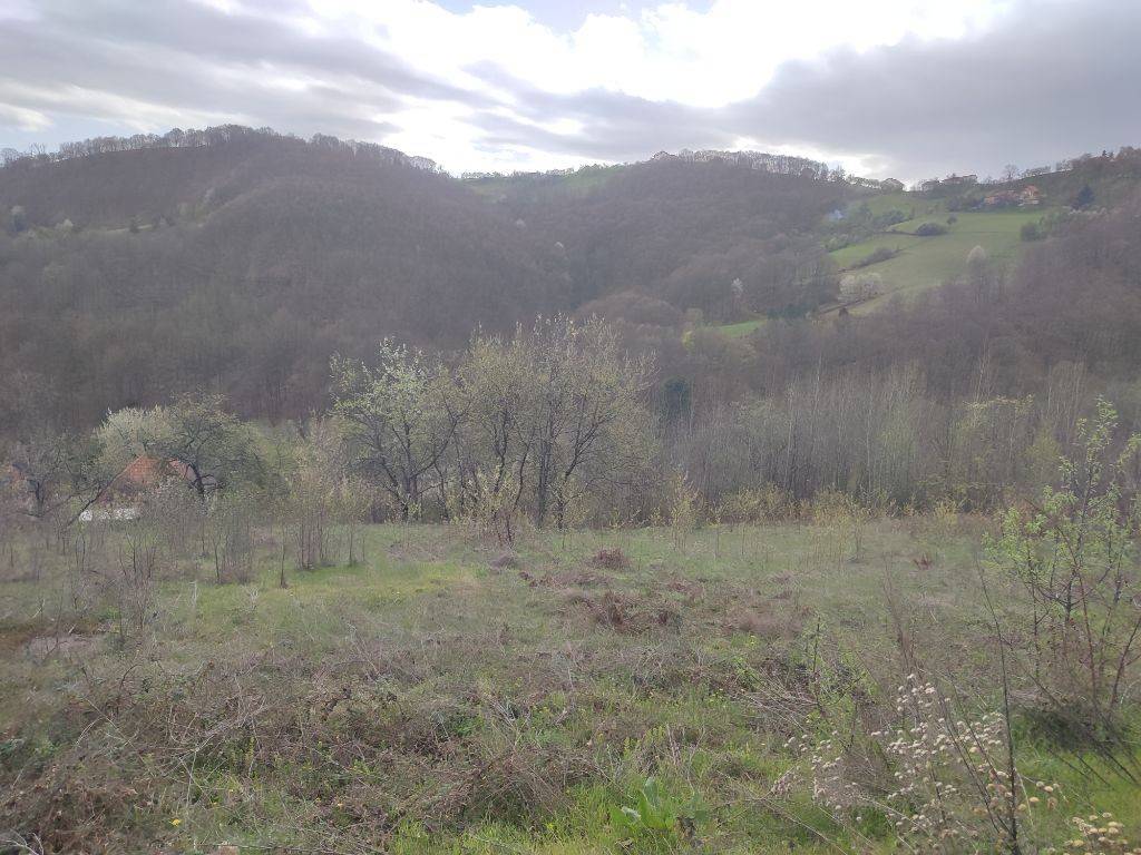 Foto 36