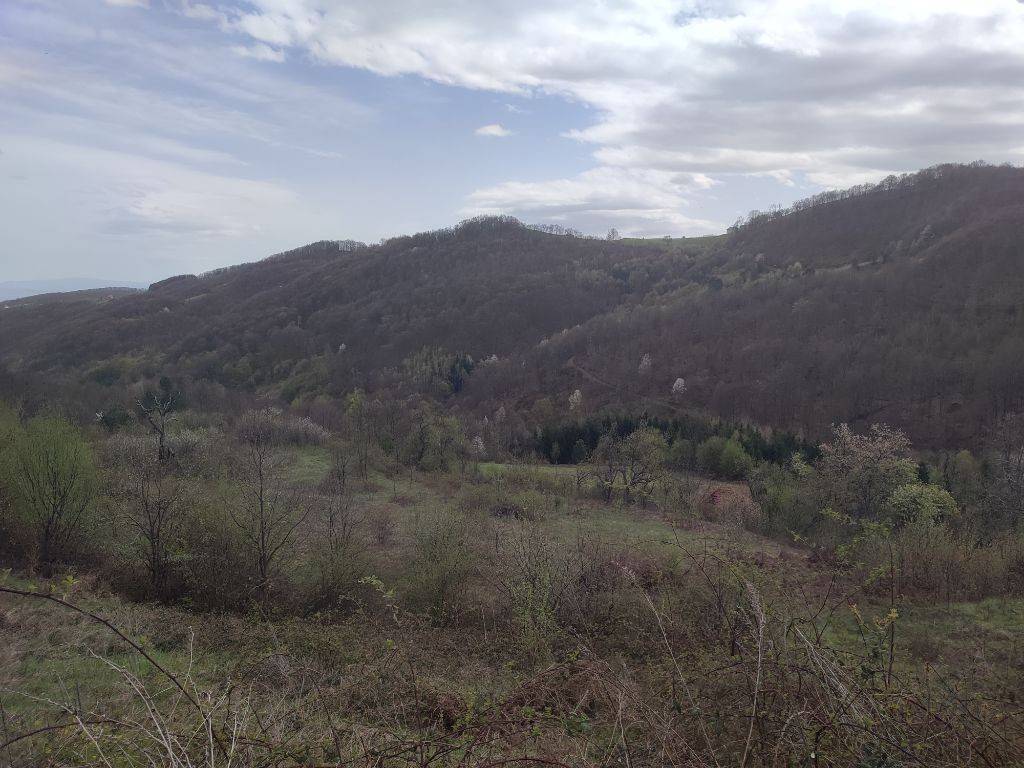 Foto 40