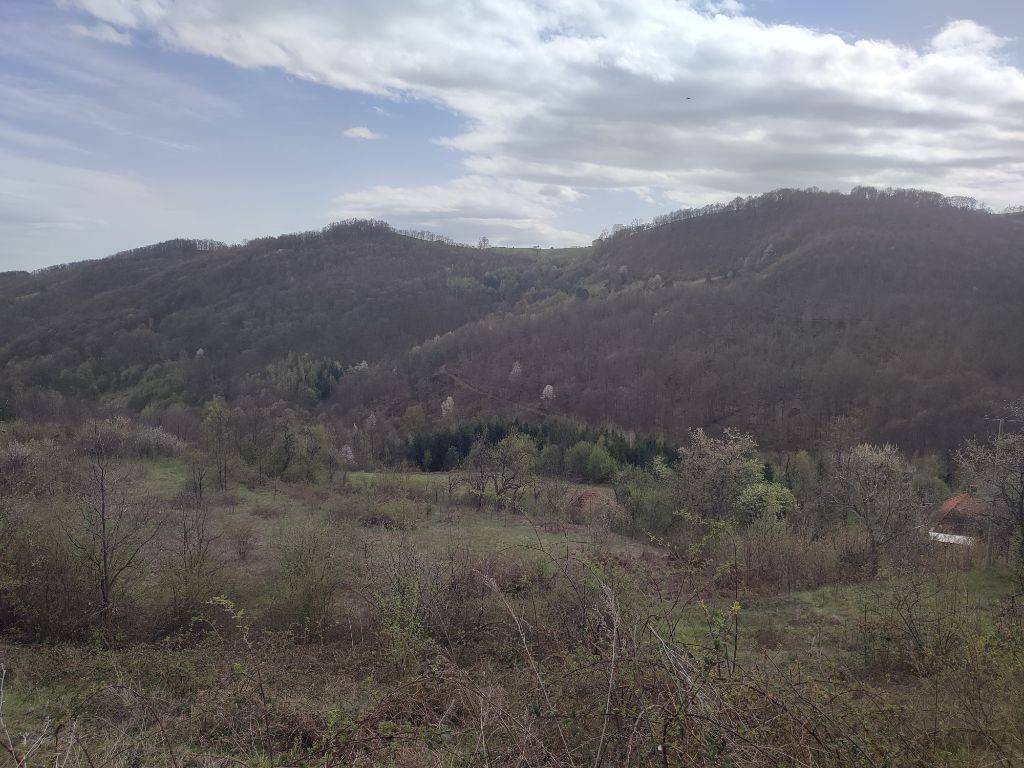 Foto 41