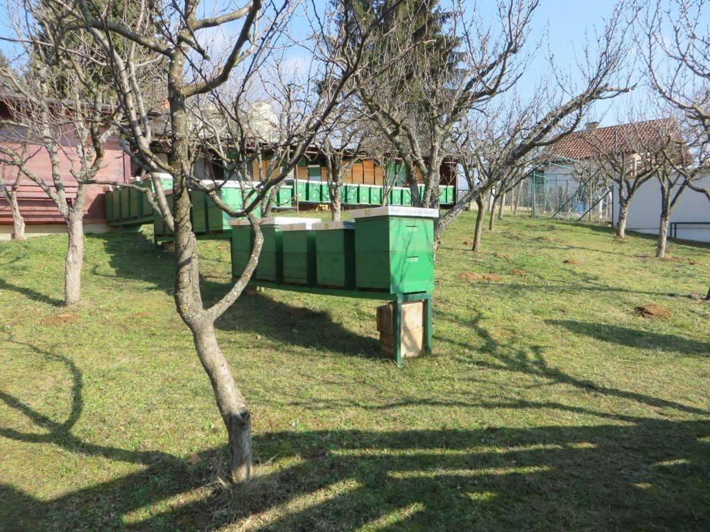 Foto 35