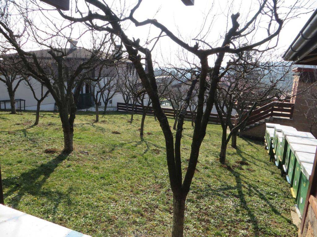 Foto 42