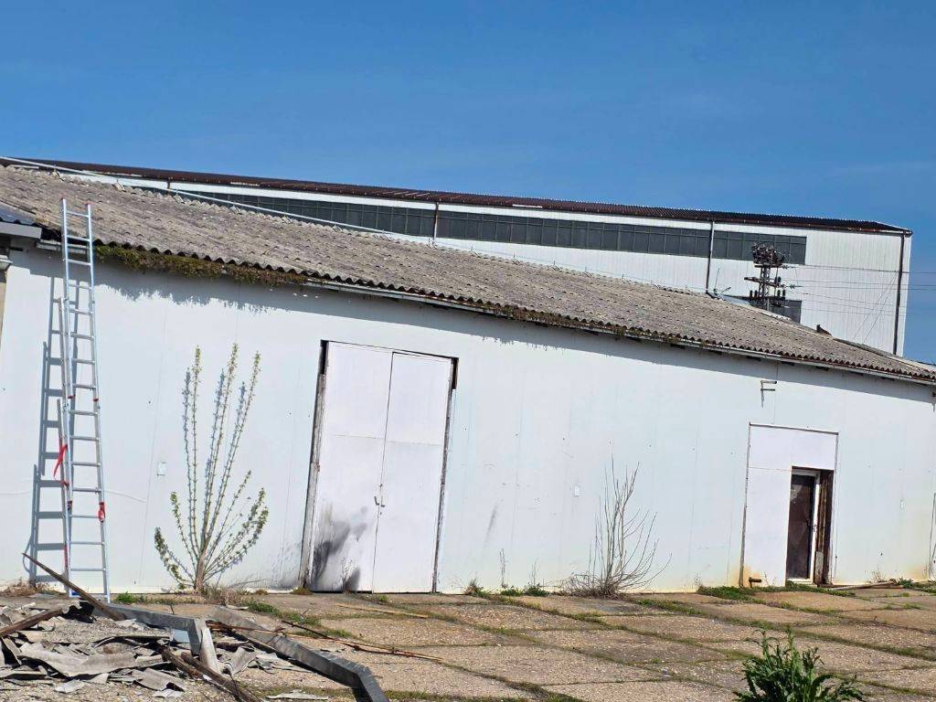 Foto 4