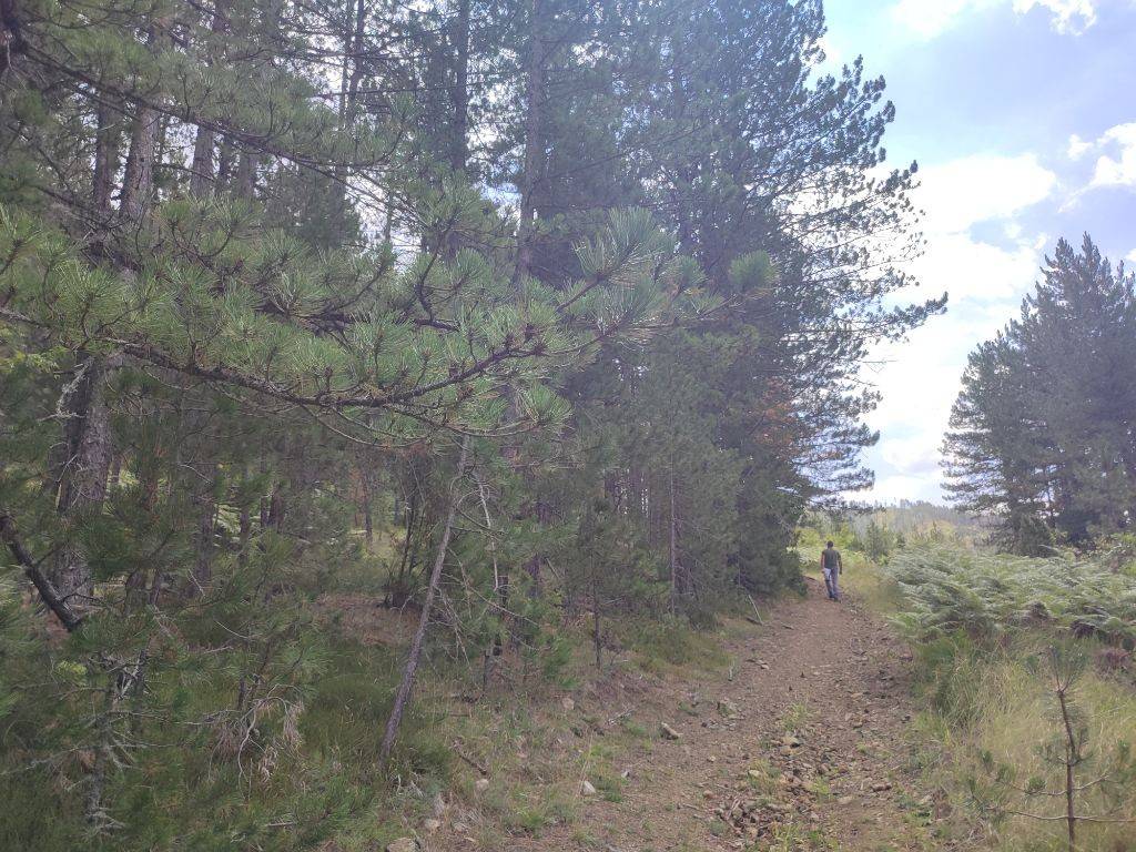 Foto 12