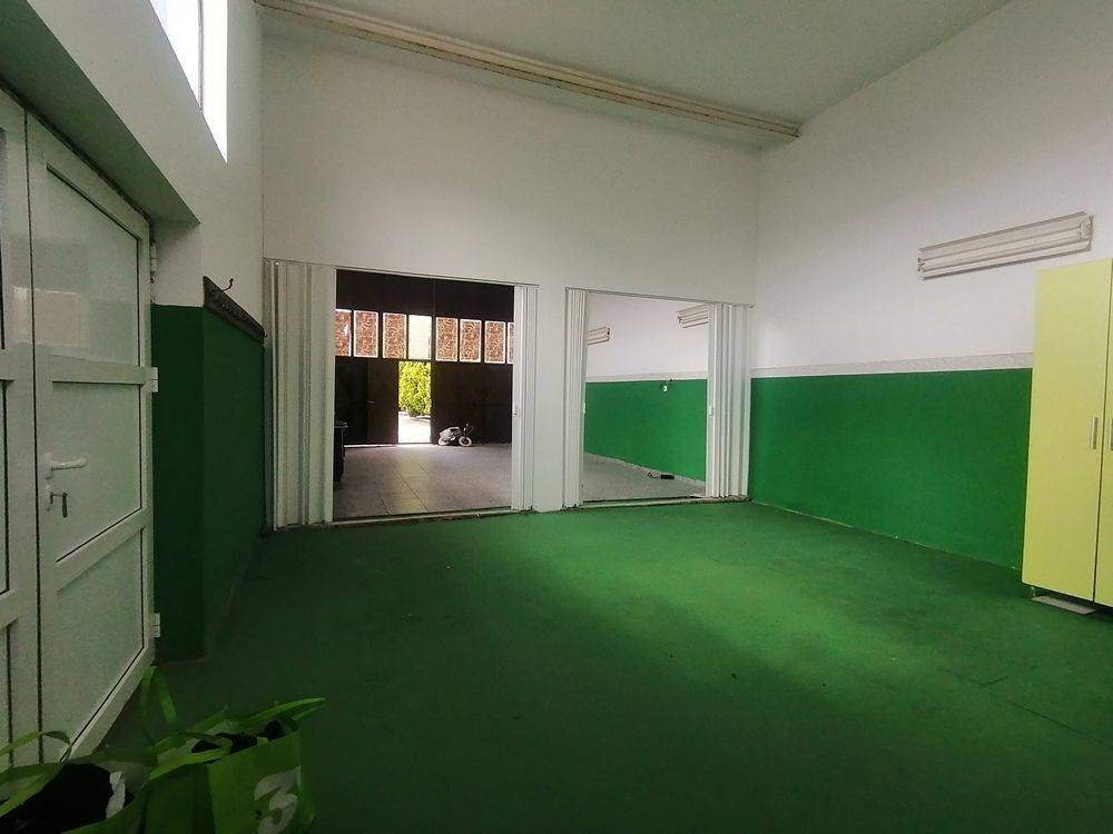 Foto 7