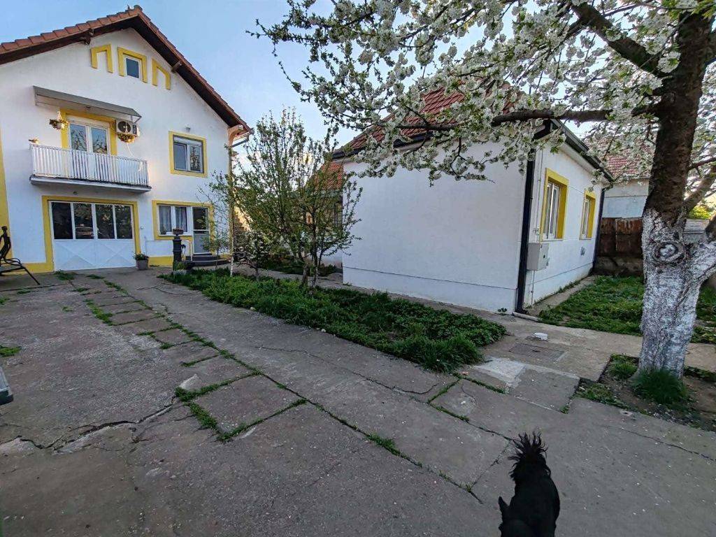 Foto 18