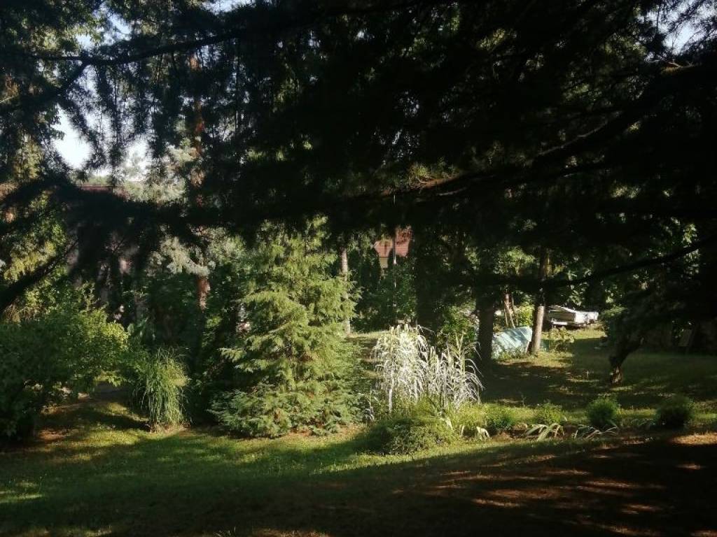 Foto 20