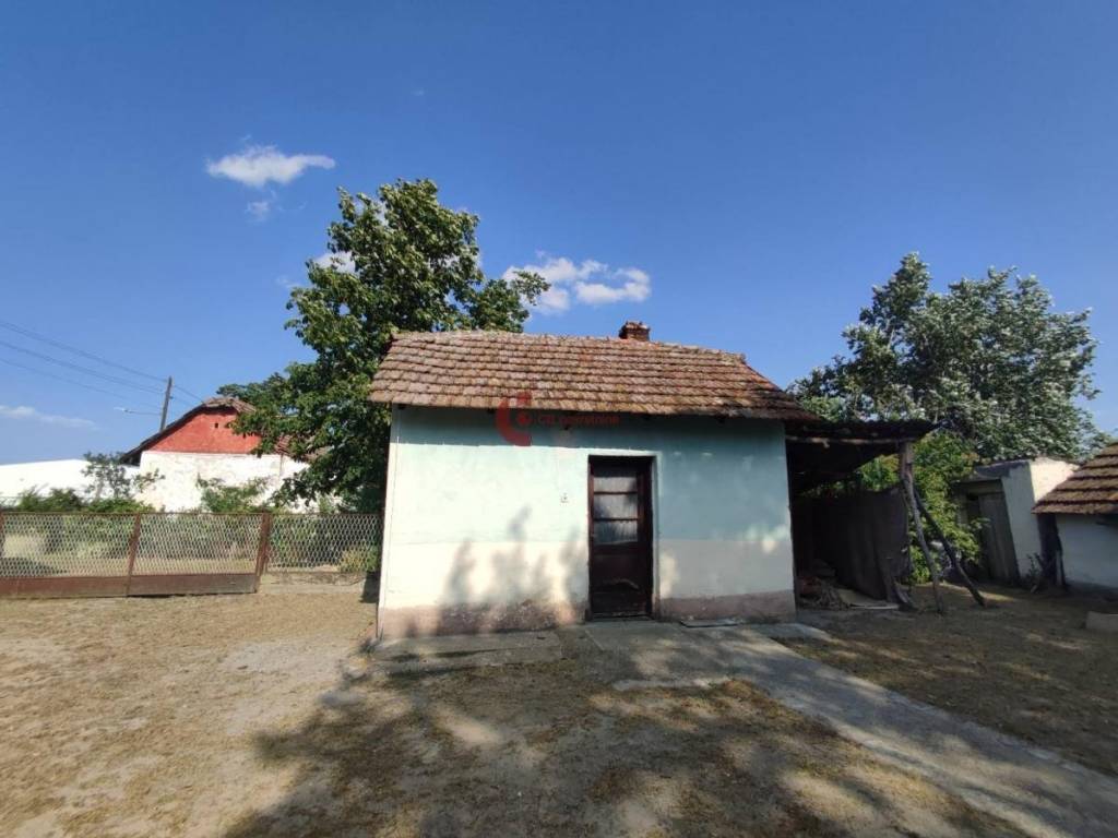 Foto 15