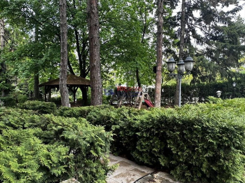 Foto 19